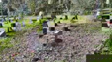 Bildet er tatt etter grevlingens herjinger i 2022.