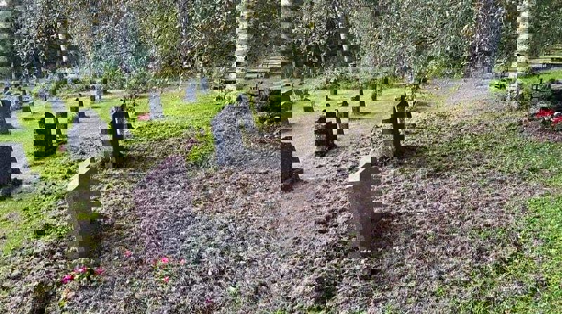 Bildet er tatt etter grevlingens herjinger i 2022.