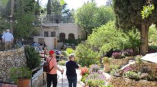 Dette er fra hagen ved det såkalte Gordons Golgata, et av stedene der det også kan hende at Jesu grav har ligget.