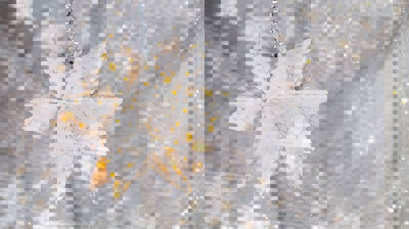 Julen 2020 i Ørland menighet