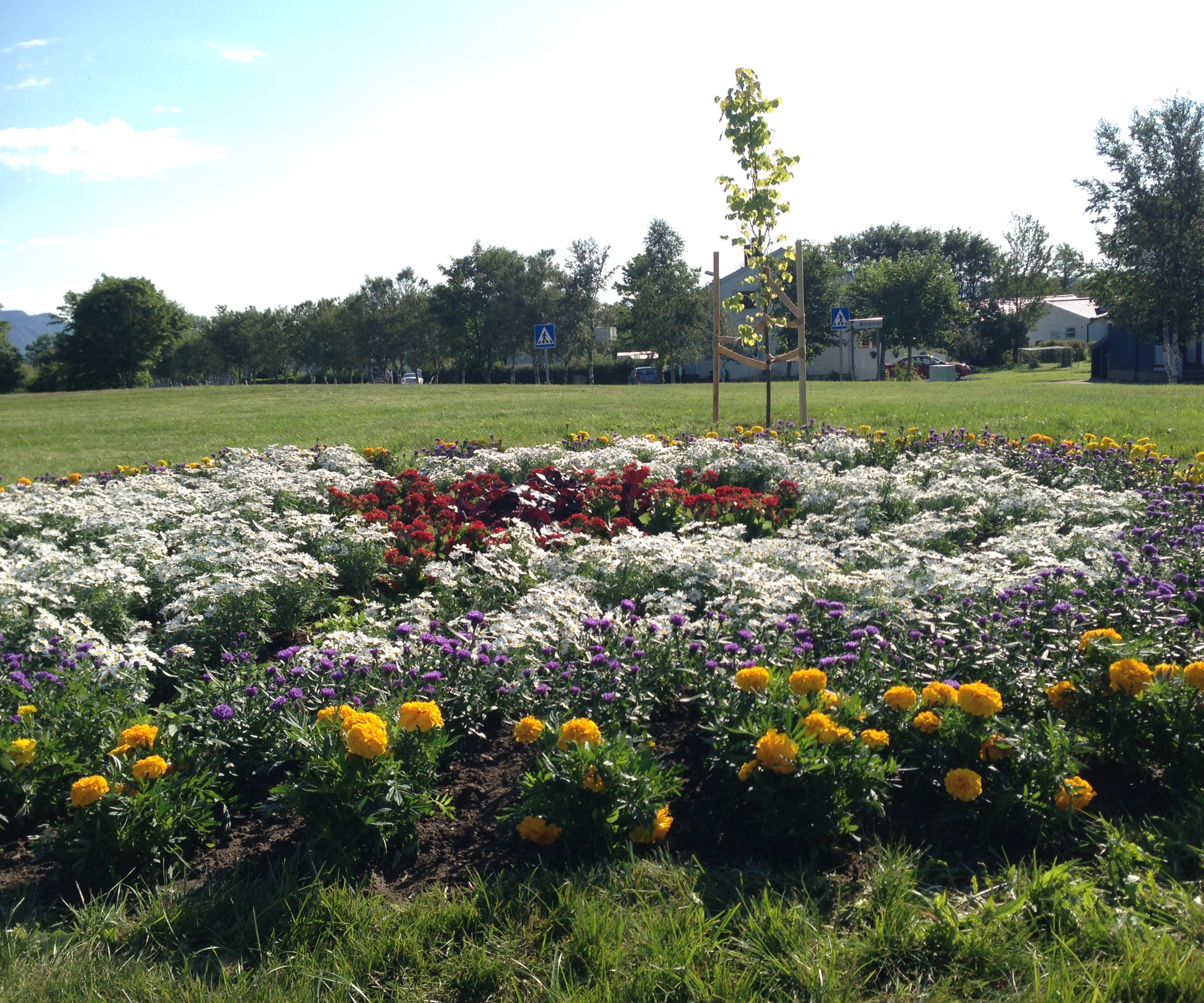 "Lutherhagen" utenfor Ørland kirke. Bildet er tatt 2014.