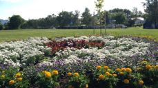 "Lutherhagen" utenfor Ørland kirke. Bildet er tatt 2014.