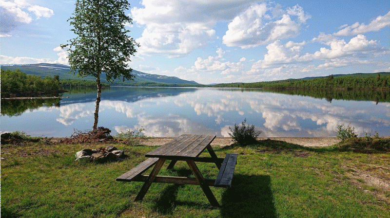 Gudstjenester ute i det fri sommeren 2021