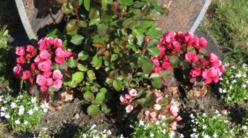 Høring om gravplassvedtekter