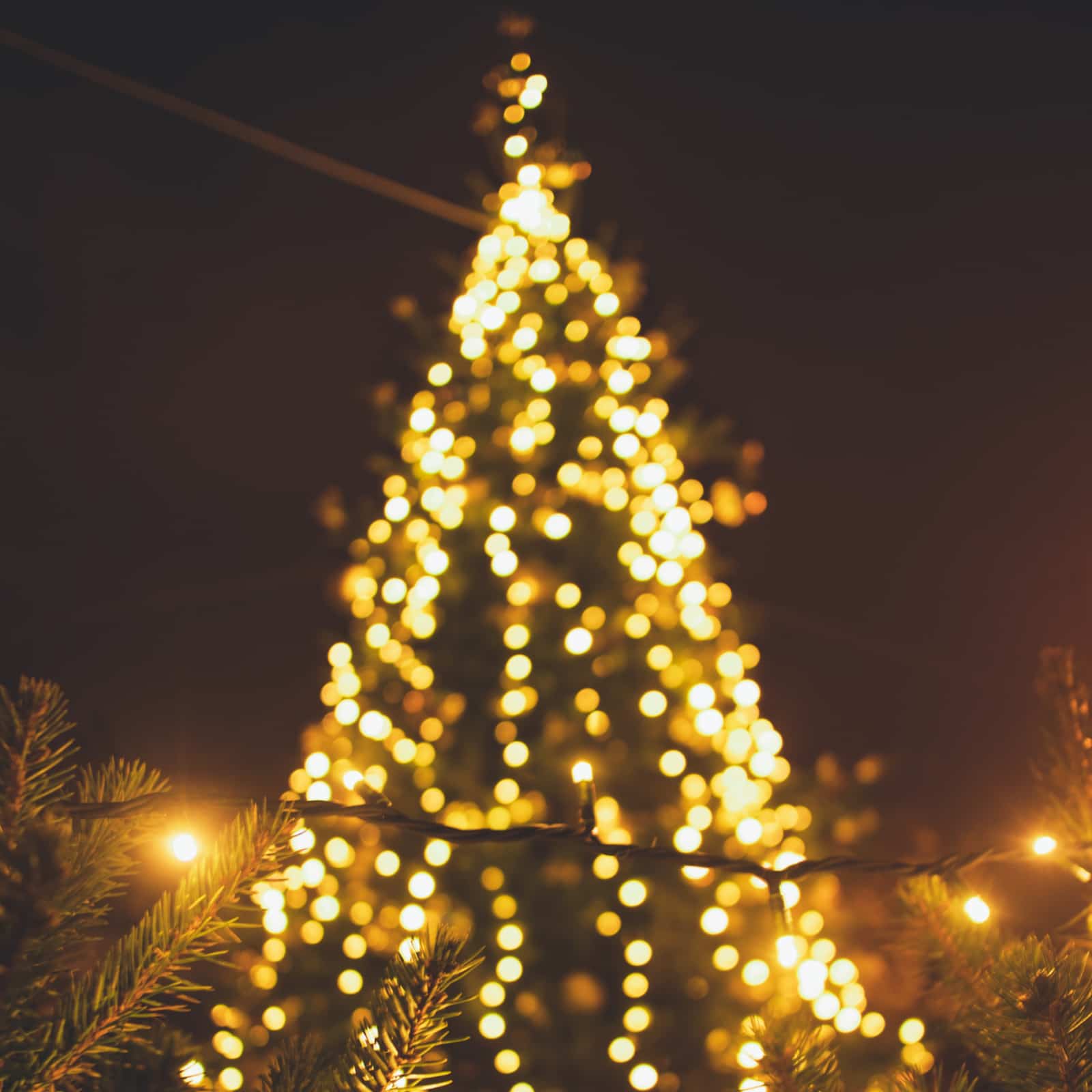 JULEGRANTENNING ALLSANGER