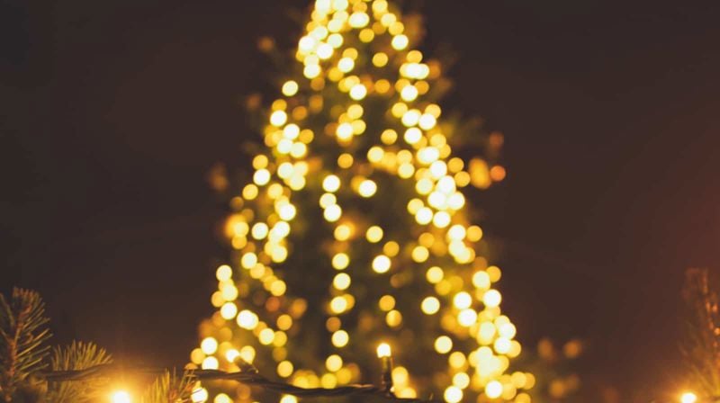 JULEGRANTENNING ALLSANGER