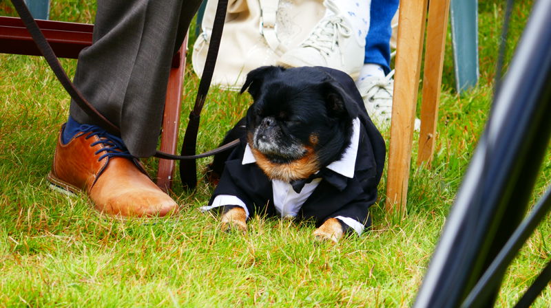 Sommerens ute-gudstjenester 2021