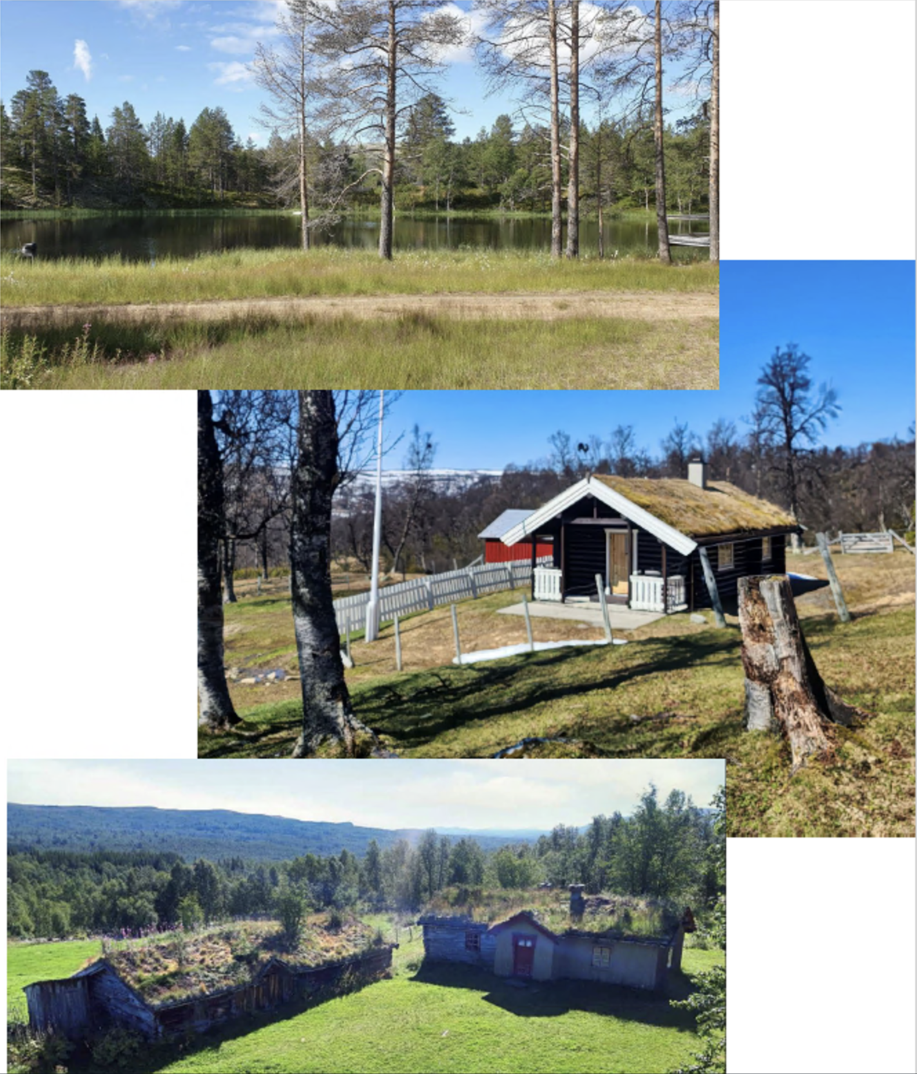 Friluftsgudstjenester sommeren 2025