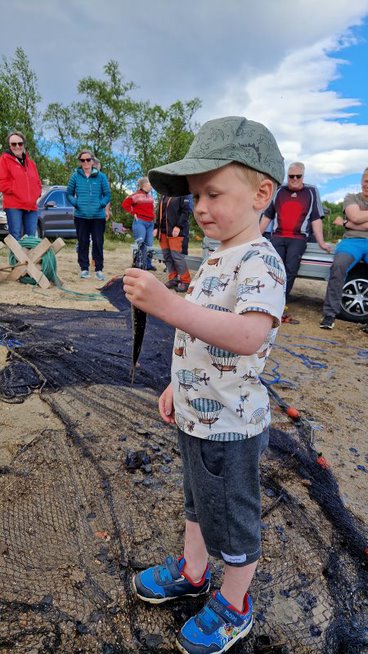Verjåhagen og Narsjøen