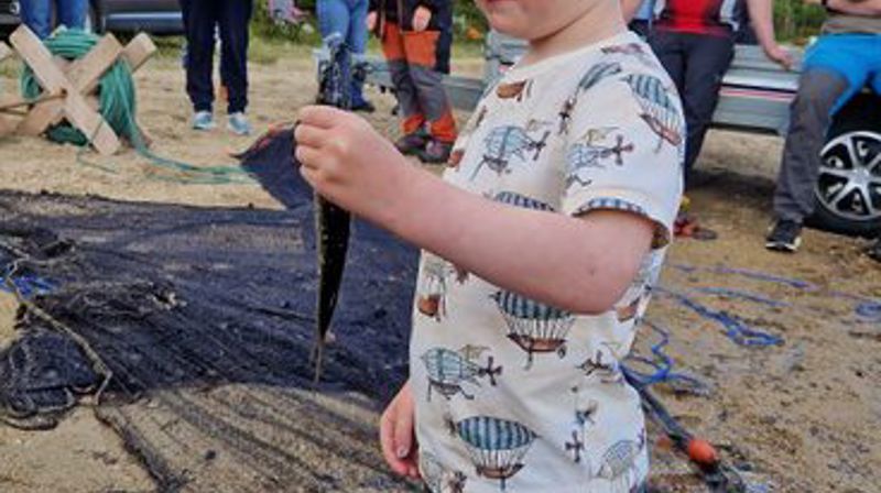 Verjåhagen og Narsjøen