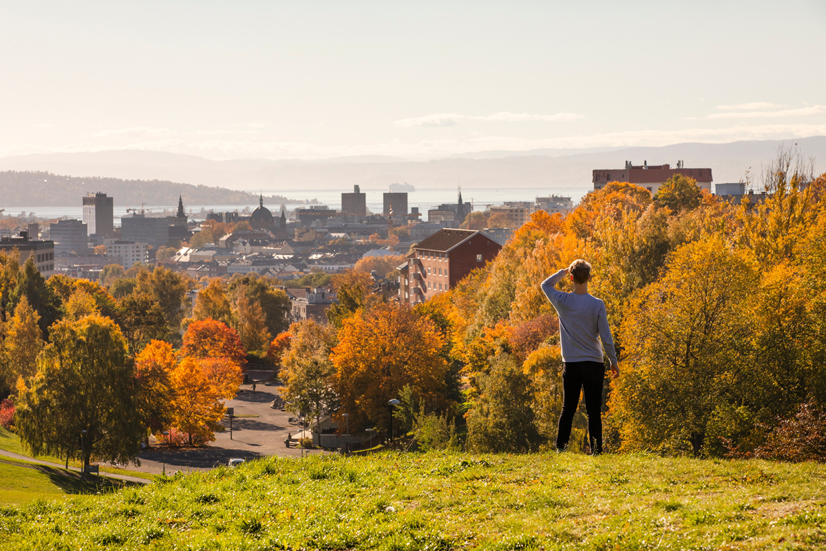 Foto: Niklas Lynau / Oslo kommune