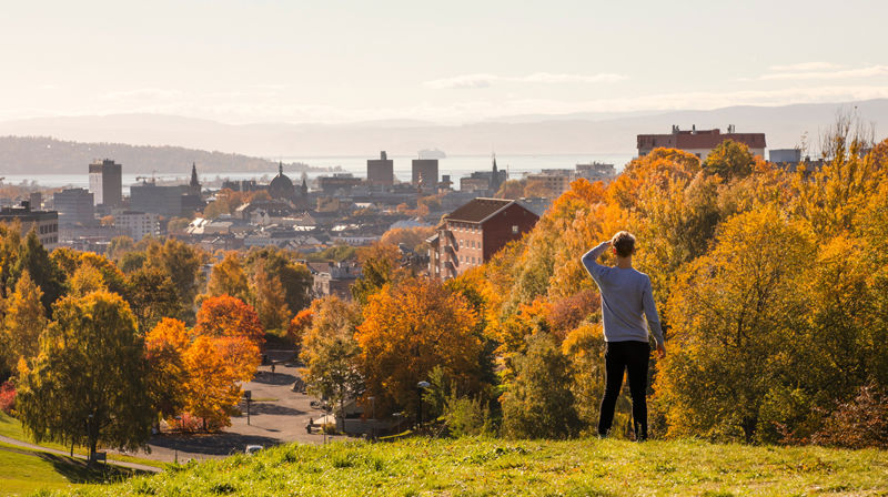 Foto: Niklas Lynau / Oslo kommune