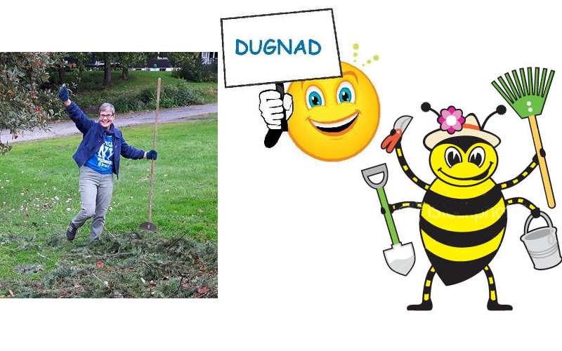  Moro på dugnad! Foto og montasje: B. Kjelsvik