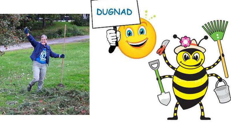 Moro på dugnad! Foto og montasje: B. Kjelsvik