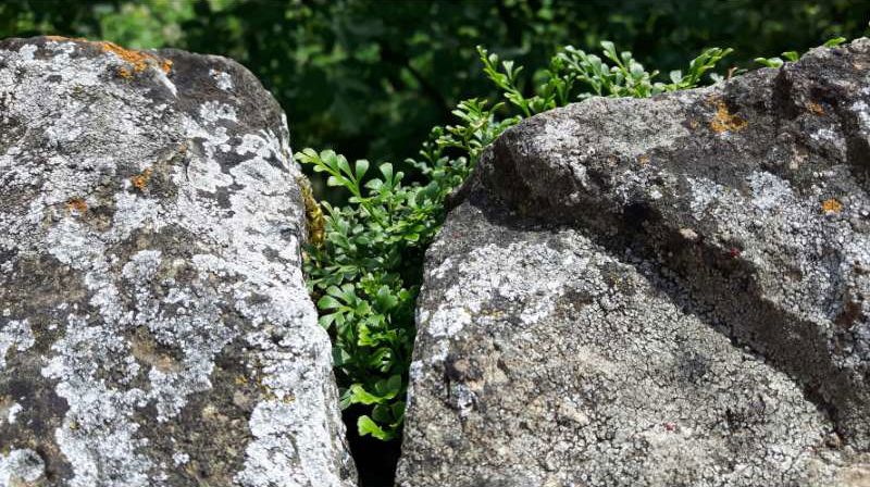 Menighetens årsmøte 7.mai i Vestre Aker menighetshus