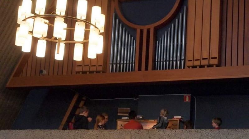 Men hva er Orgelbrus, da?