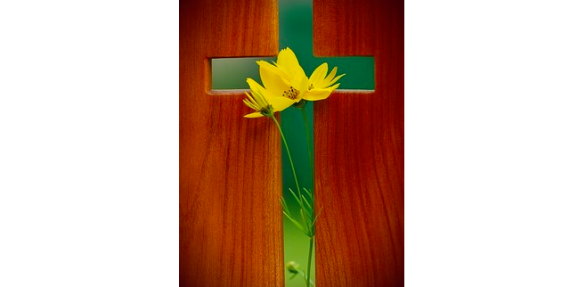 Høytidsgudstjenester i Bakkehaugen og Vestre Aker kirker