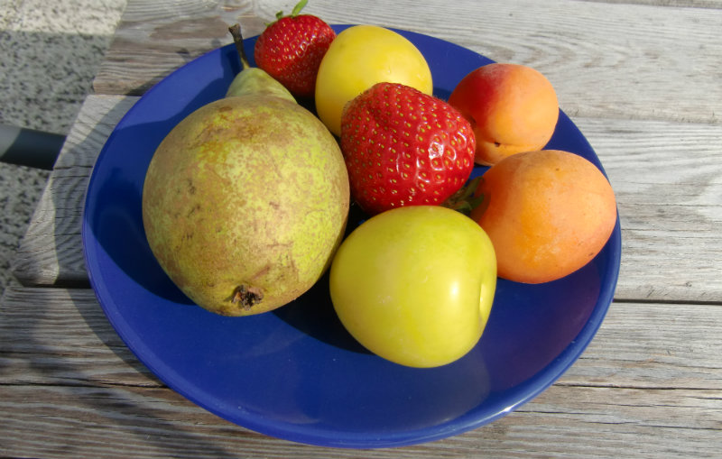 frukt p&aring; bl&aring;tt fat