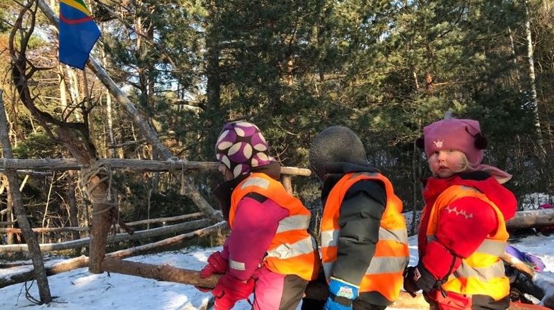 Lassokasting og steking av reinsdyrkjøtt på bål i skogen!