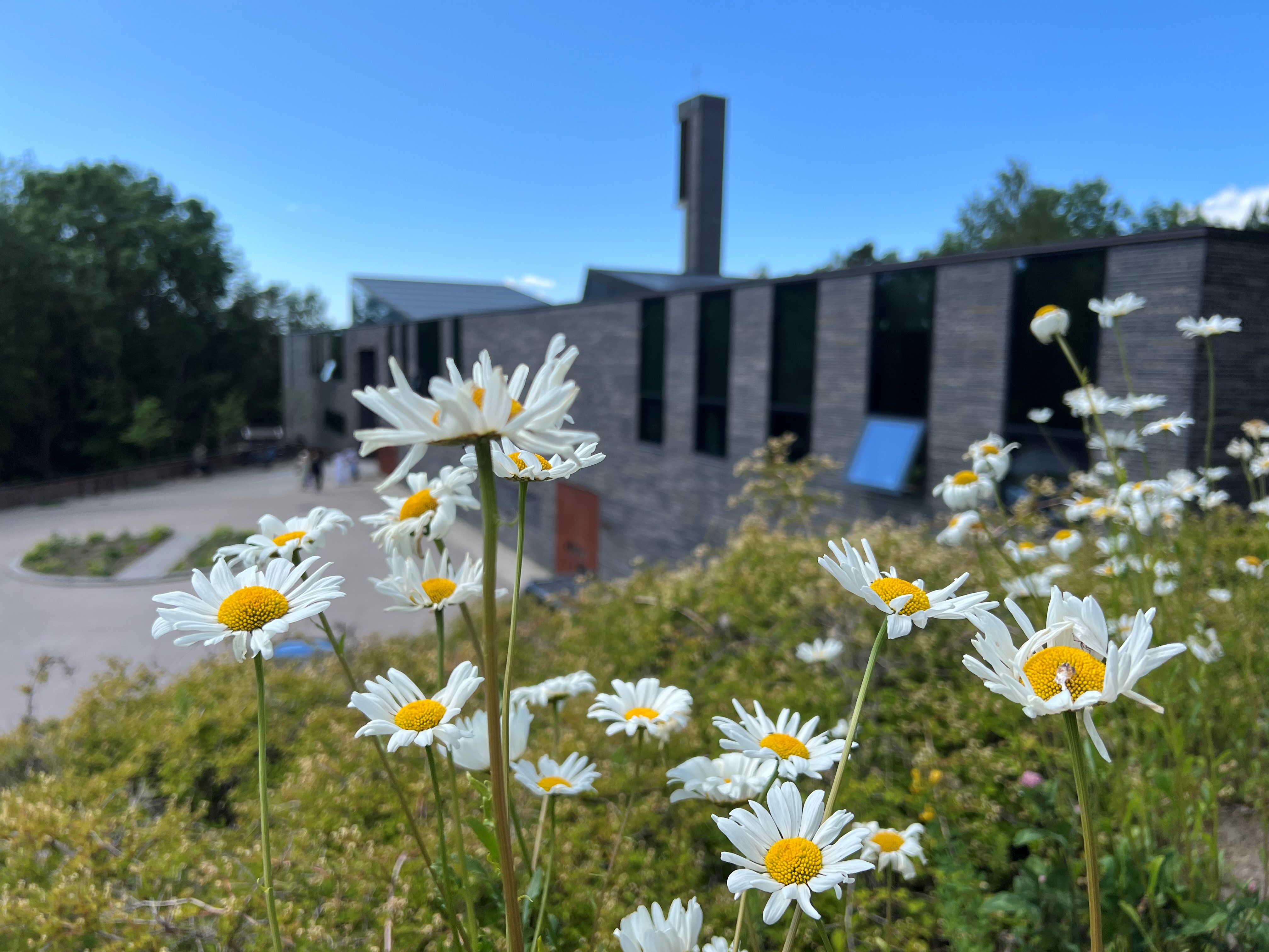 Sommeren i Bøler kirke