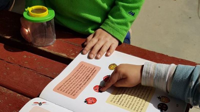 Er du leken, lyttende, nysgjerrig og undrende?