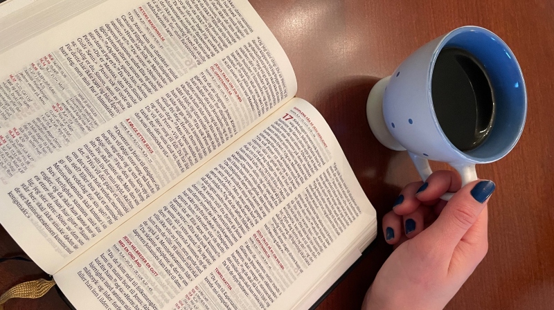 Bildet er tatt av Madison fra Pixabay