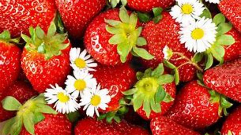Velkommen til sommertreff 12. & 26. juli kl. 12.00 - 14.00 i menighetshuset