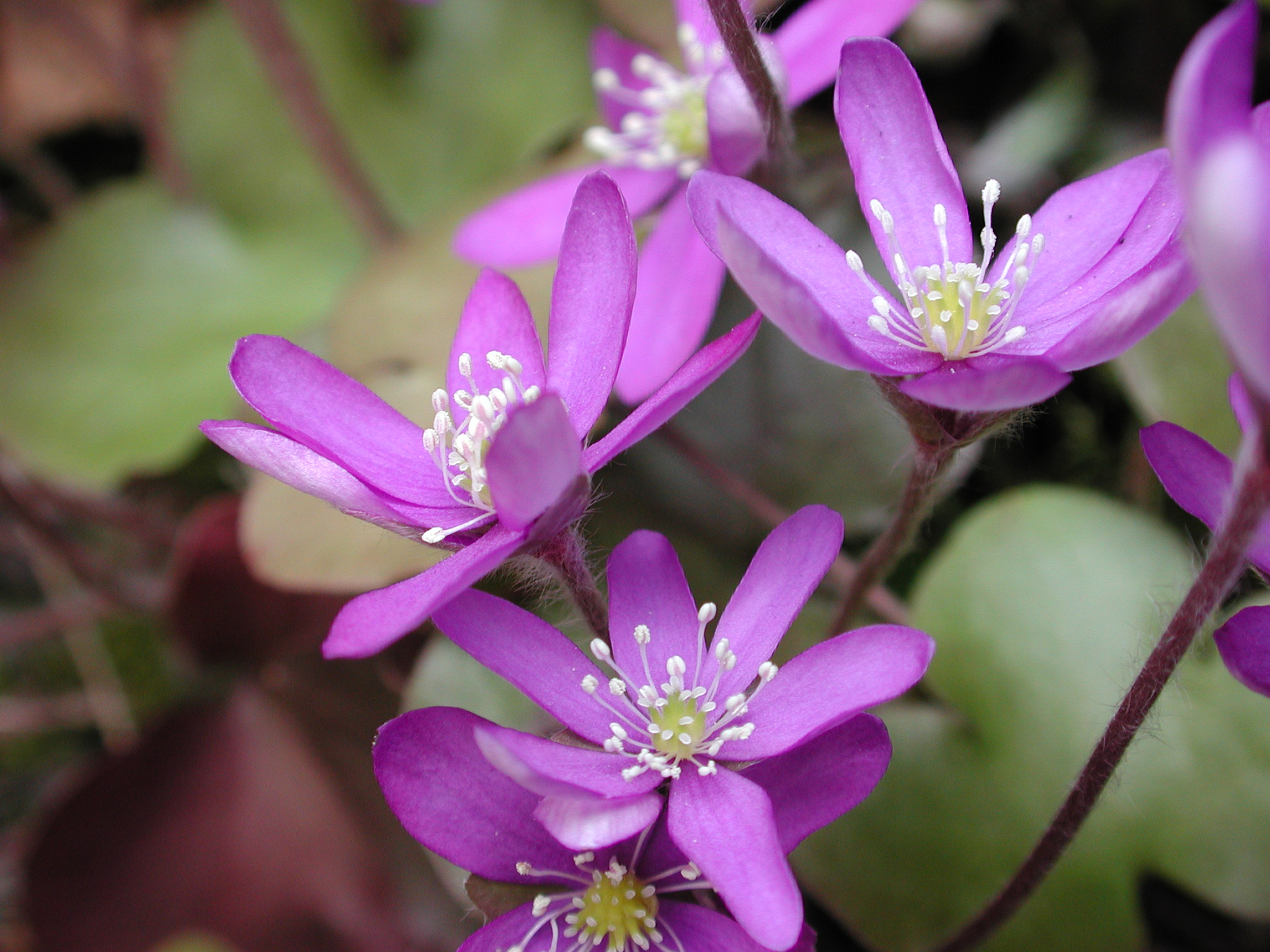 Årets Bygdøy Loppemarked en suksess.