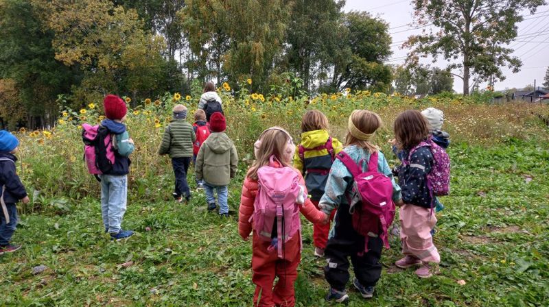 Ledig stilling som pedagogisk leder