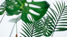 Foto: Avel Chuklanov /Unsplash