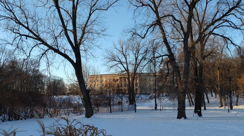 Slottsparken i morgenlys. Egeberg-Jensen 2022