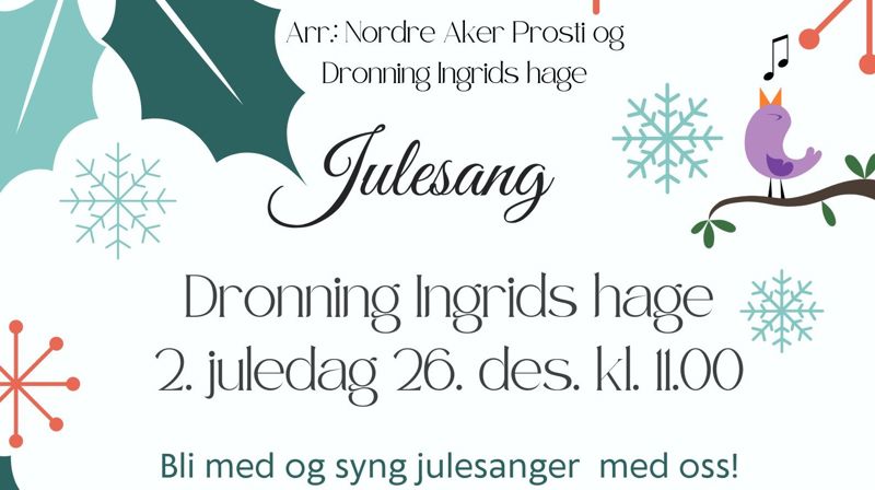 Velkommen til Julesang 2. juledag