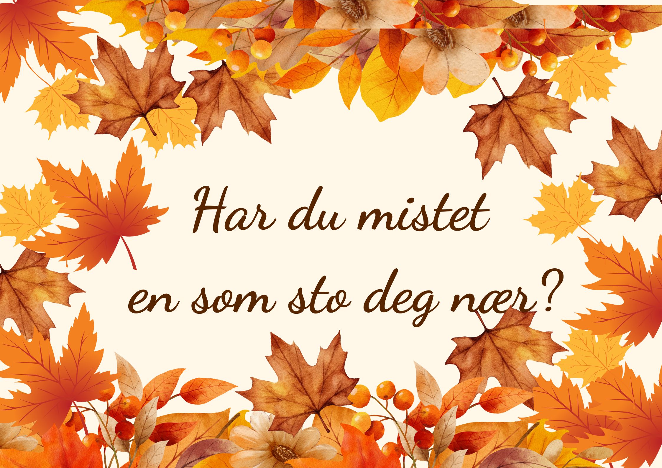 Samtaletilbud og sorggrupper