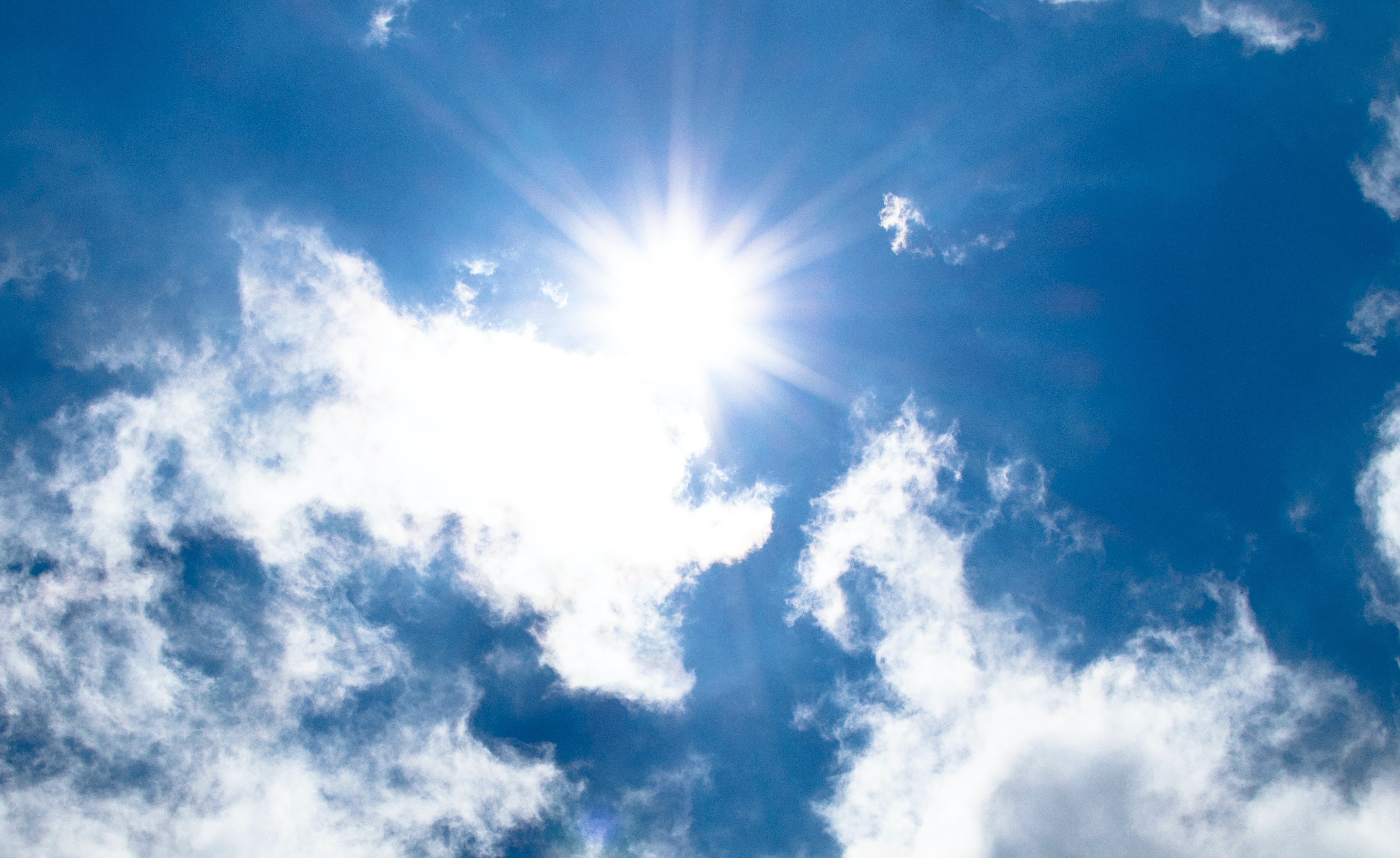 Photo by Lukas from Pexels