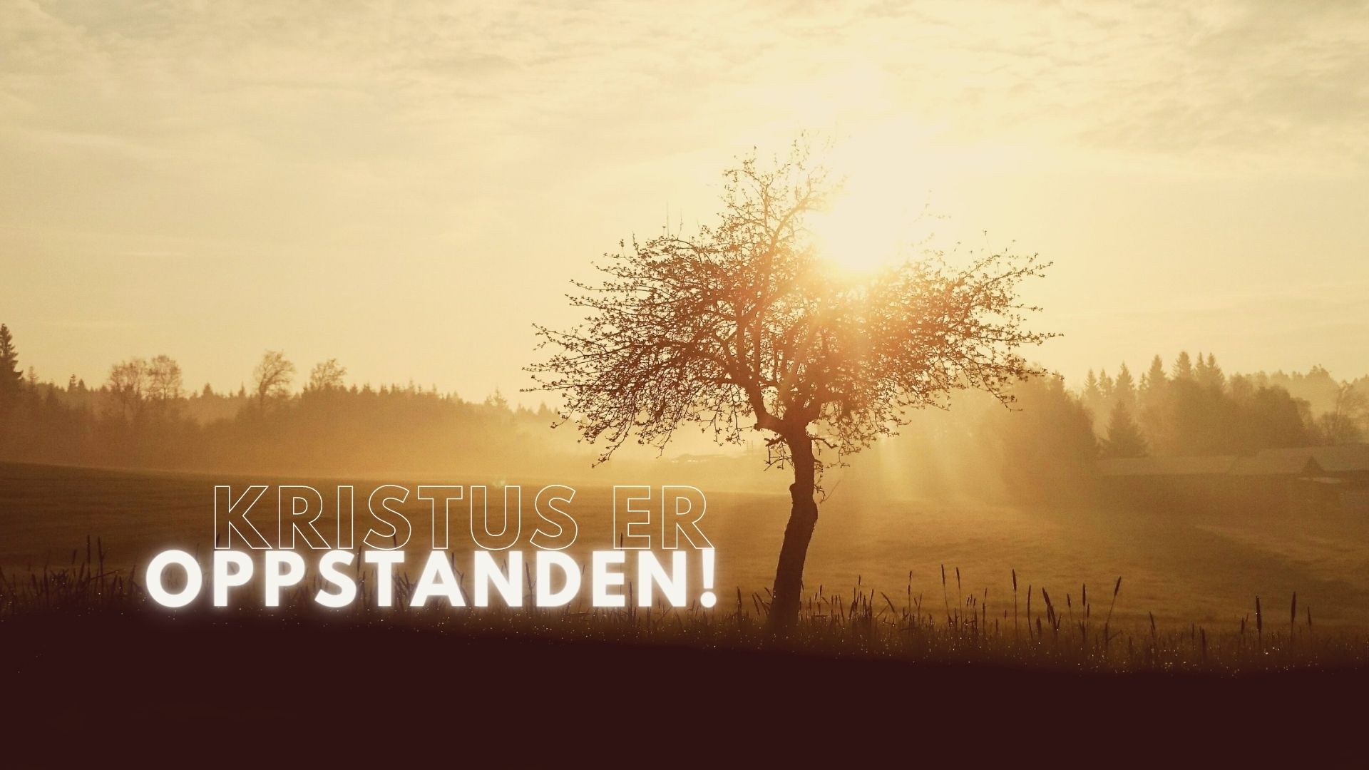 Påskeprogram 2023