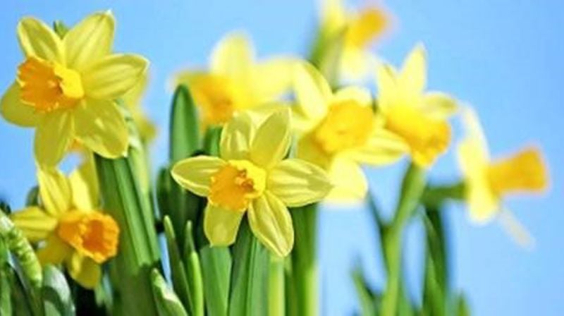 Påskevandring for 2. trinn