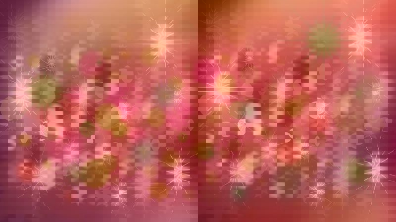 Seniortreff 1.desember