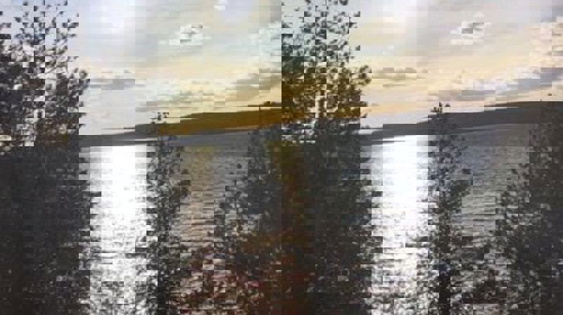 "Solnedgang i Hvervenbukta" Johanne Egeberg-Jensen (2020)