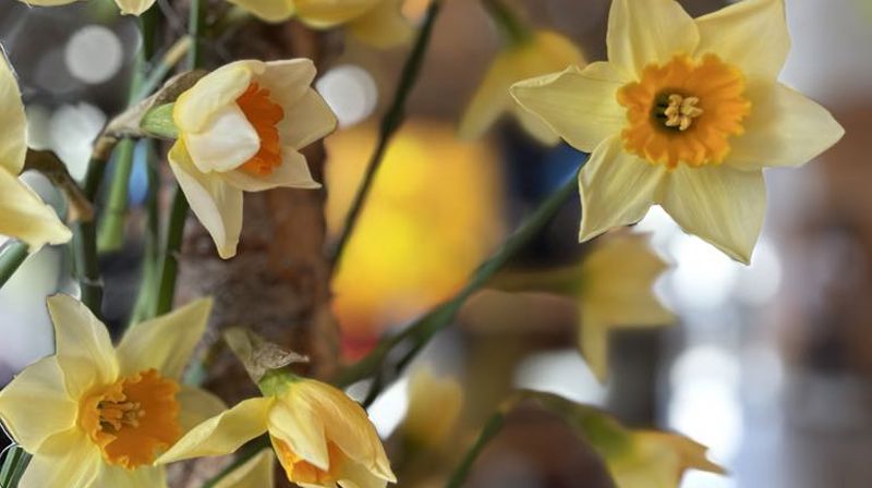 Påske i Mortensrud kirke