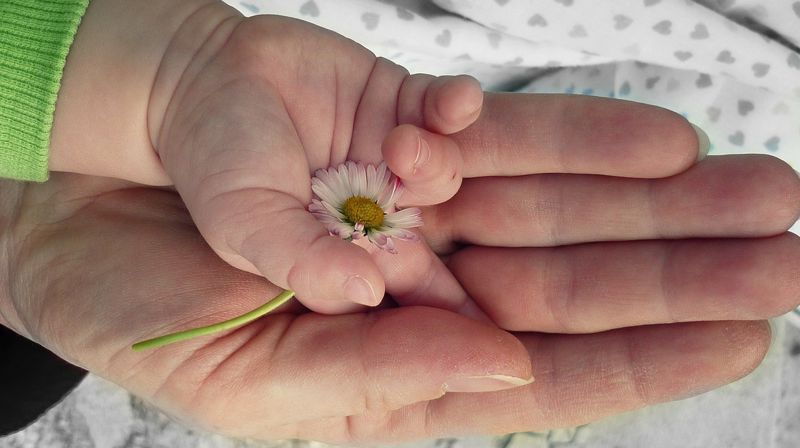 Generasjonssangs-konsert