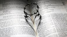 Image by James Chan from Pixabay