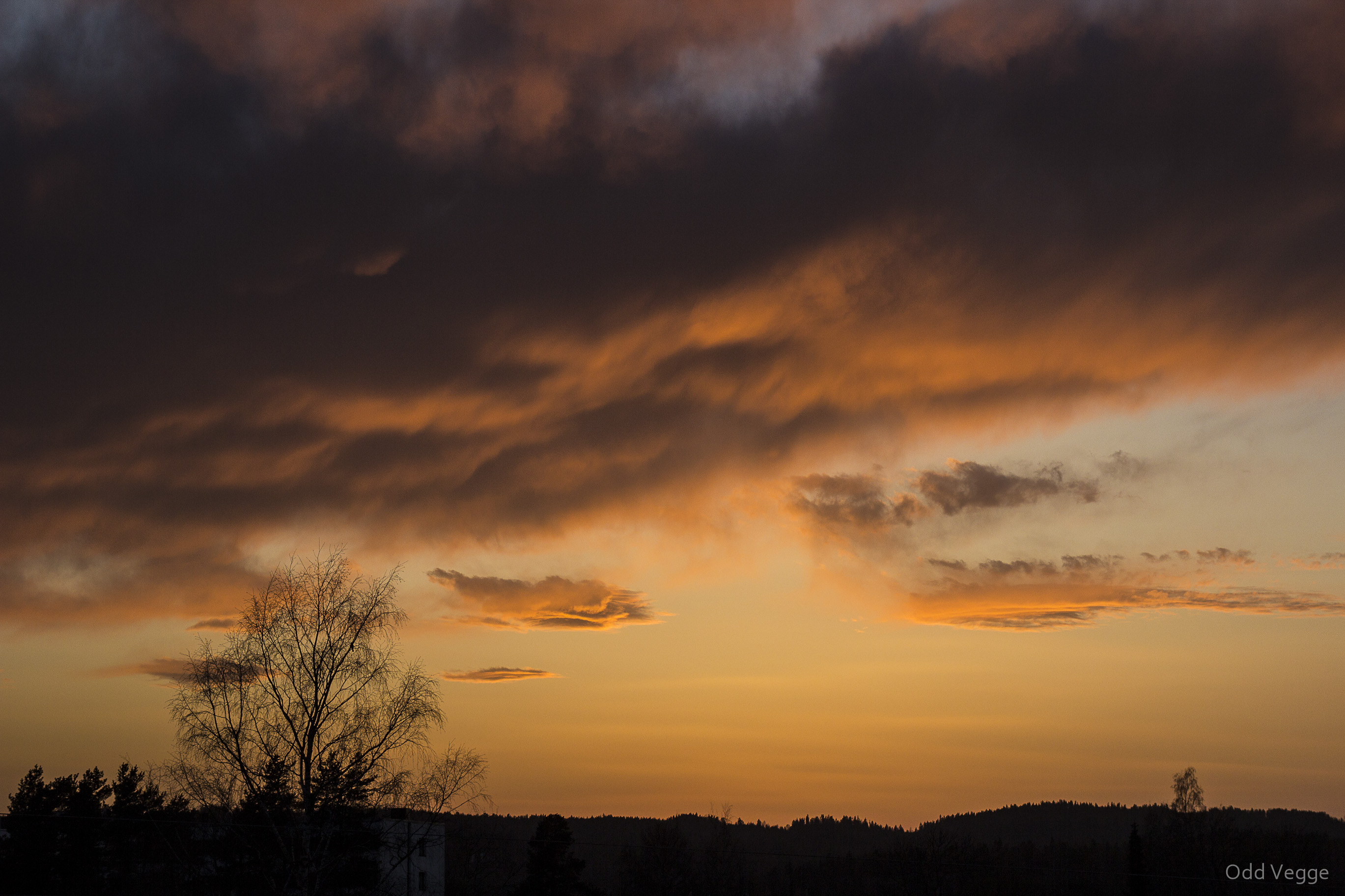 Foto: Odd Vegge