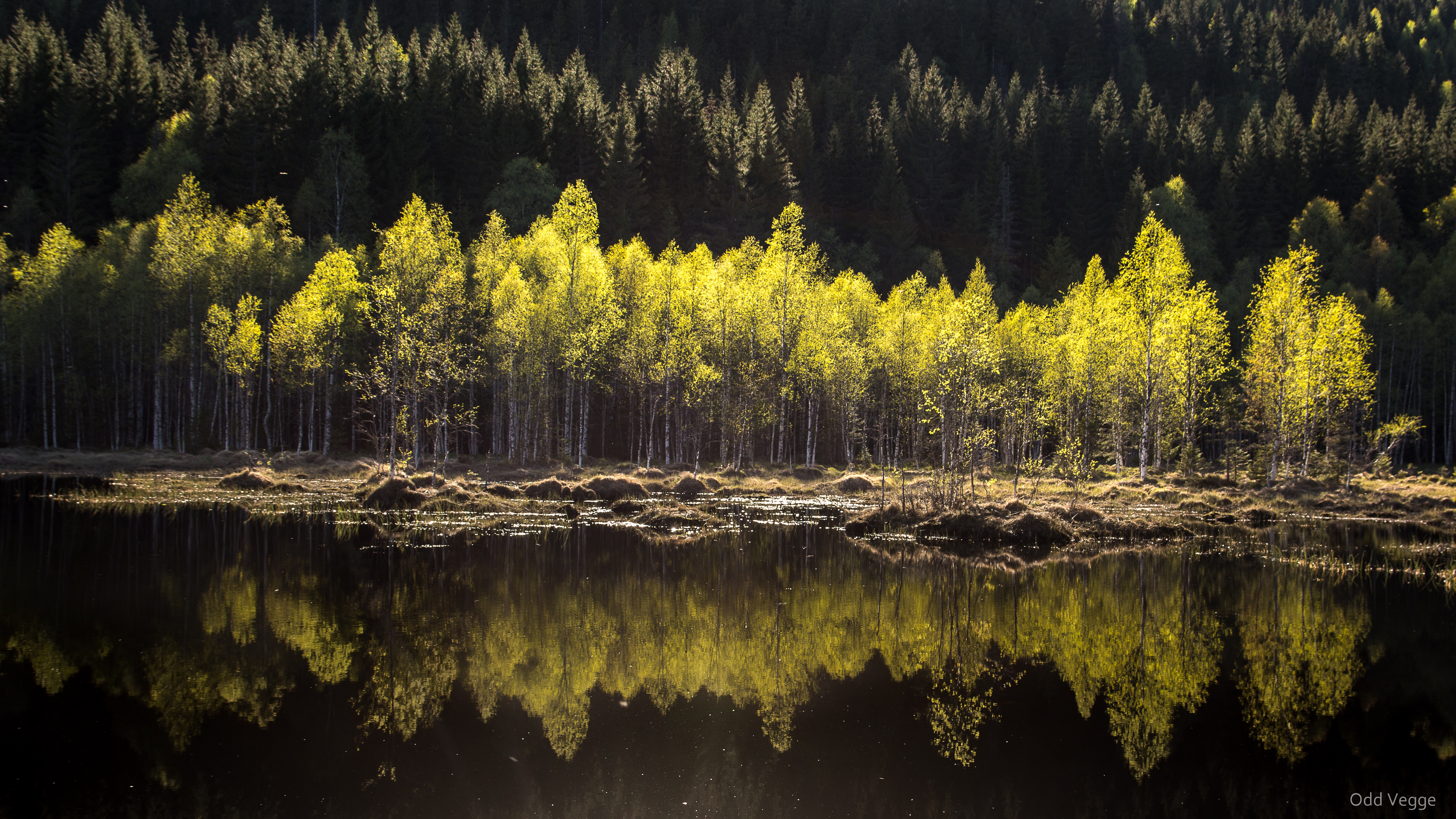 Foto: Odd Vegge