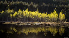Foto: Odd Vegge