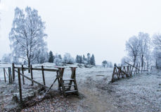 Foto: Odd Vegge