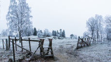 Foto: Odd Vegge
