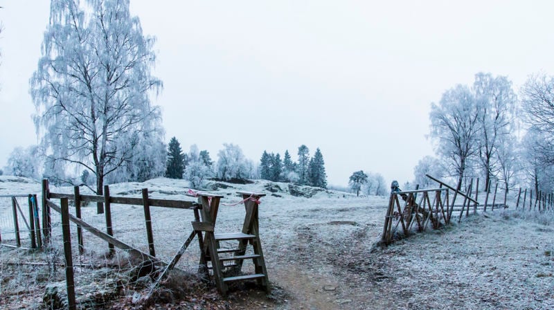 Foto: Odd Vegge