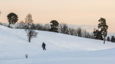 Foto: Odd Vegge