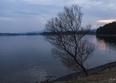Foto: Odd Vegge