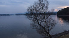 Foto: Odd Vegge